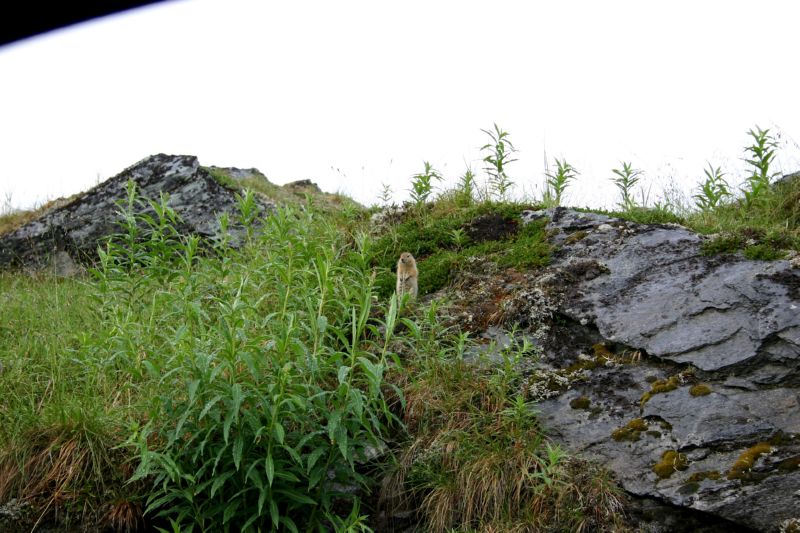 070404 Hope Hatcher Montana Creek (10155)